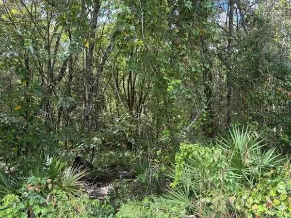 PINE CABIN RD, Brooksville, FL 34601