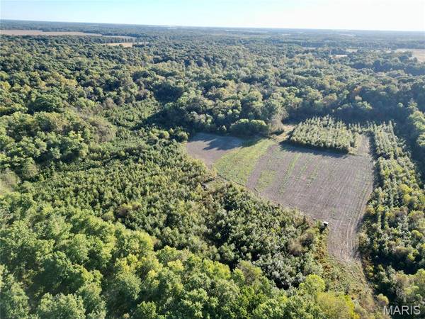 1 Landmark Road, Iuka, IL 62849
