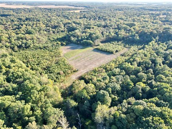1 Landmark Road, Iuka, IL 62849