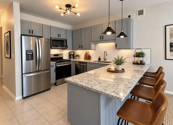 21 W CHESTNUT ST #806, Chicago, IL 60611