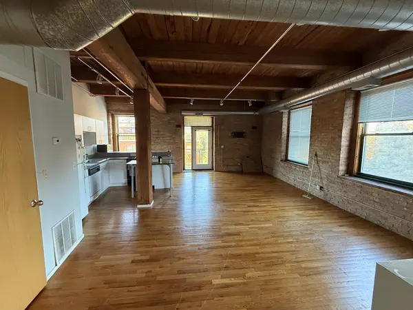 1900 S Clark ST #307, Chicago, IL 60616