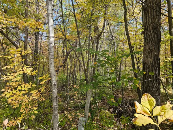 TBD Lot 2 Bunny Lane, Crosby, MN 56441