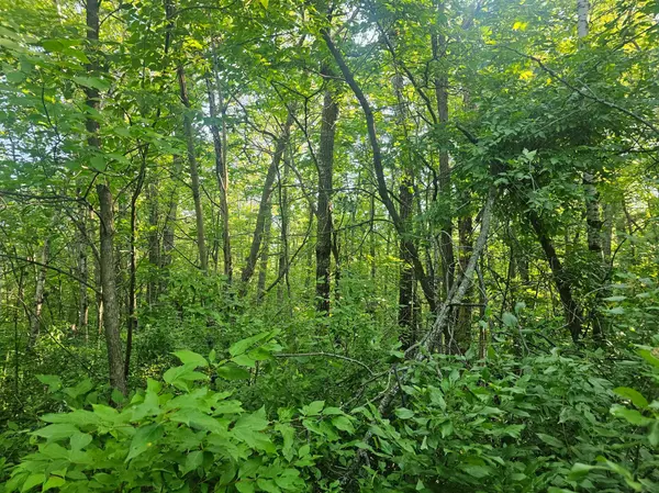 TBD Lot 2 Bunny Lane, Crosby, MN 56441