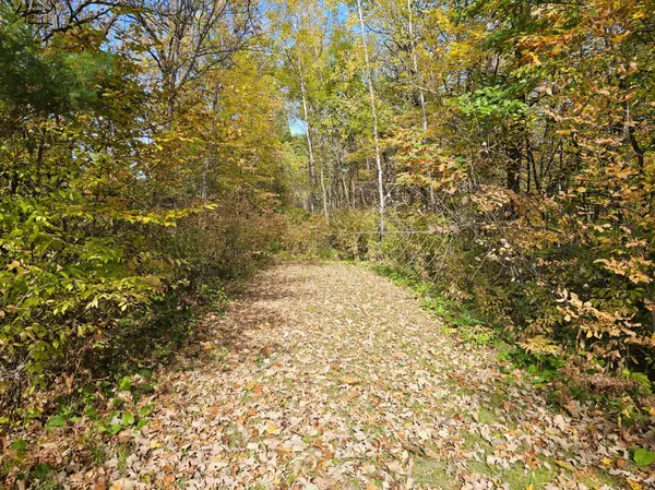 TBD Lot 2 Bunny Lane, Crosby, MN 56441