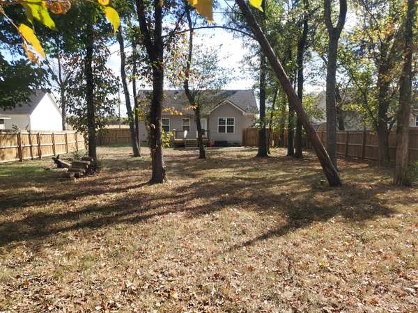 312 Spring Creek St, Chapel Hill, TN 37034