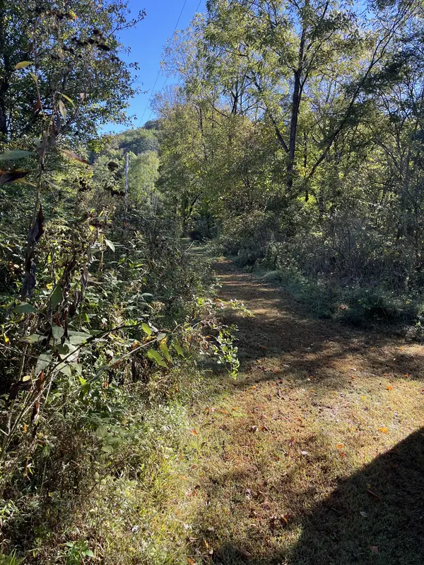 665 Bugg Hollow Rd, Gallatin, TN 37066