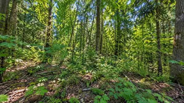 0 SE 125 Ave, Other, WA 98058