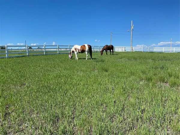378 Conestoga, Franktown, CO 80116