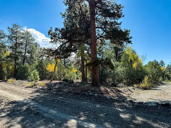 54 Big Bear, Mosca, CO 81146