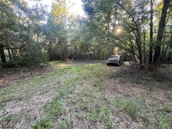 OLD FEDERAL RD, Quincy, FL 32351