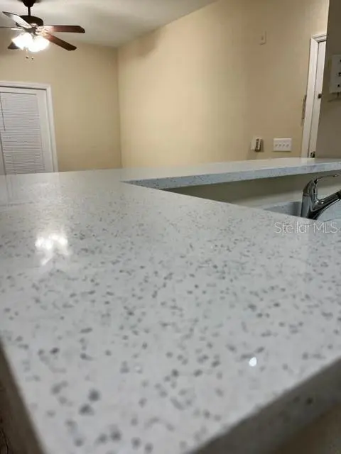 1810 E PALM AVE #1114, Tampa, FL 33605