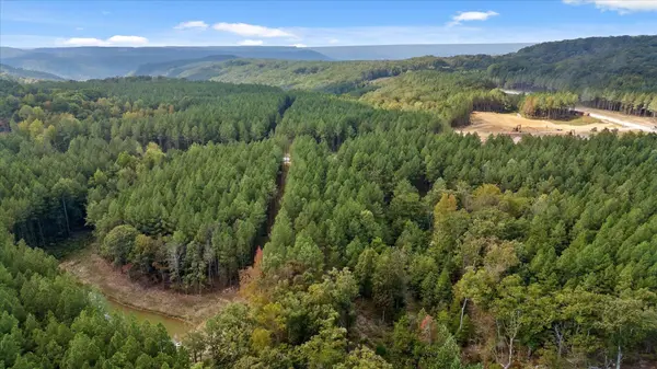 5370 River Bend Road, Guild, TN 37340