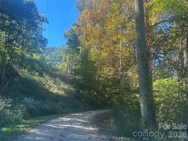 00 Split Pine CV, Clyde, NC 28721