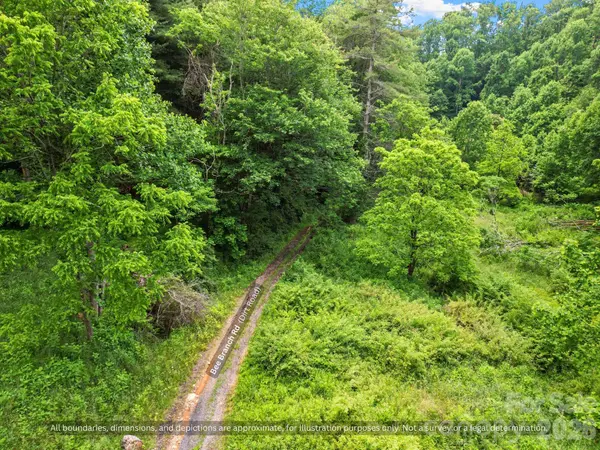 99999 Bee Branch RD, Bakersville, NC 28705