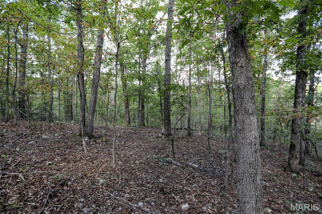 0 County Road 505, Greenville, MO 63944