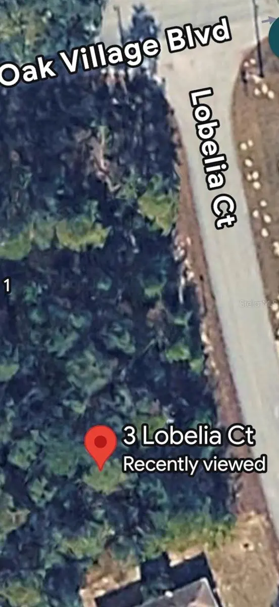 3 LOBELIA CT, Homosassa, FL 34446