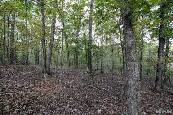 0 County Road 505, Greenville, MO 63944