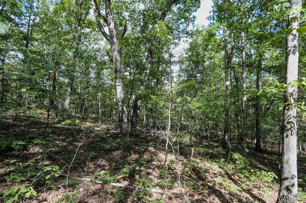 0 County Road 505, Greenville, MO 63944