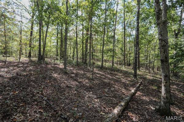 0 County Road 505, Greenville, MO 63944