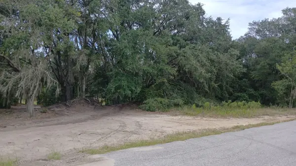 SE MALAUKA LOOP RUN RD, Ocklawaha, FL 32179
