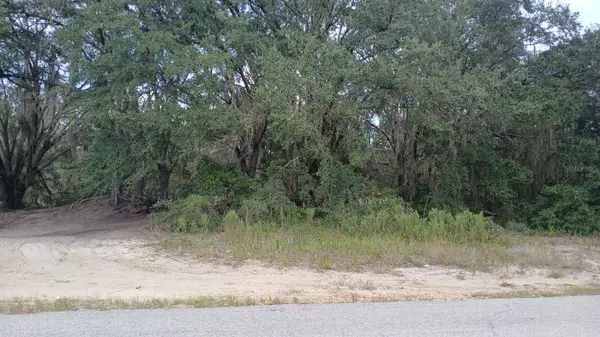 SE MALAUKA LOOP RUN RD, Ocklawaha, FL 32179