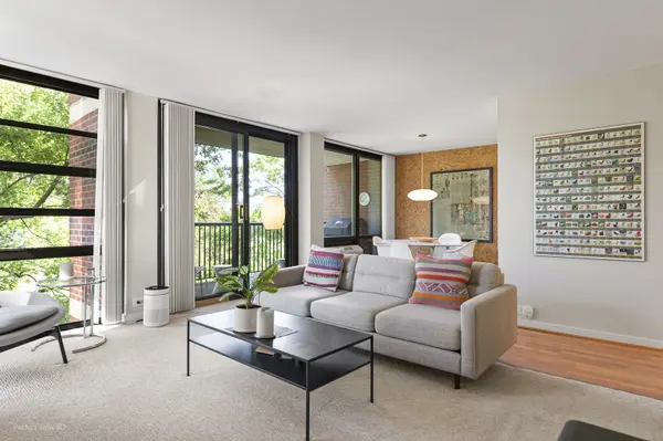 3021 S Michigan AVE #407, Chicago, IL 60616
