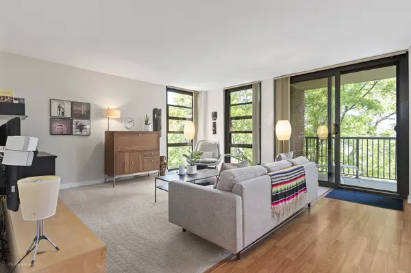 3021 S Michigan AVE #407, Chicago, IL 60616