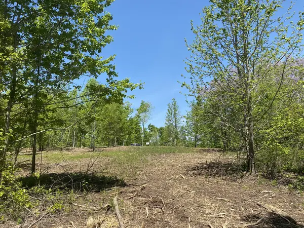 79 Overlook Trail, Stewart, TN 37175