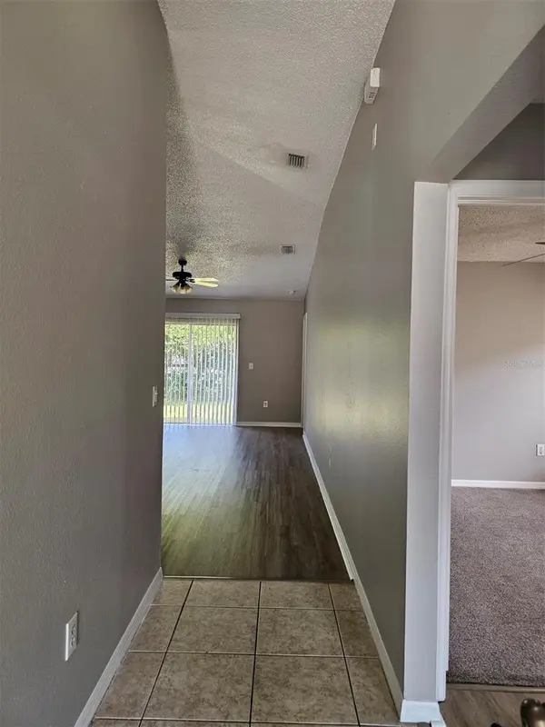 30911 MIDTOWN CT, Wesley Chapel, FL 33545