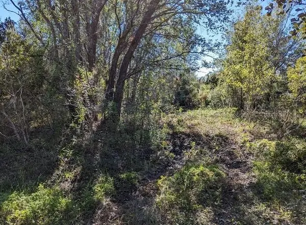 5570 JUEL GILL RD, Myakka City, FL 34251