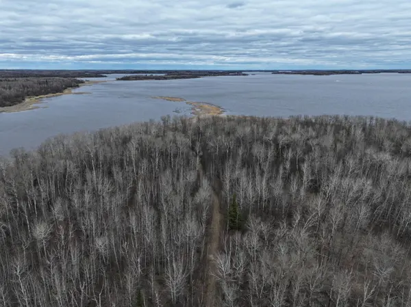 TBD Youngs Bay Drive, Angle Inlet, MN 56673