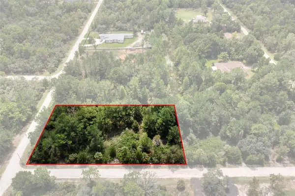 18399 RAMSEY RD, Weeki Wachee, FL 34614