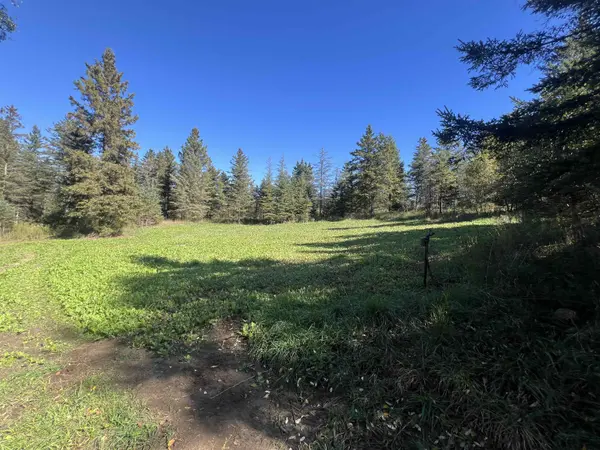 BADISH RD, Daggett, MI 49821