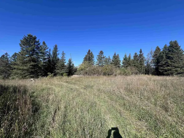 BADISH RD, Daggett, MI 49821