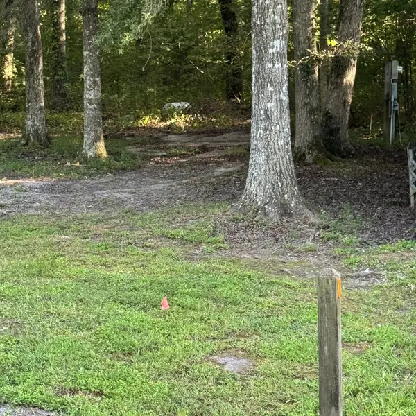 343 Spring Cir, Beechgrove, TN 37018