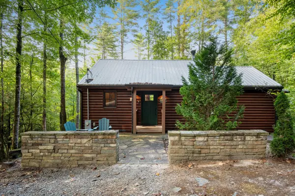 67 All Good Road, Cherry Log, GA 30522