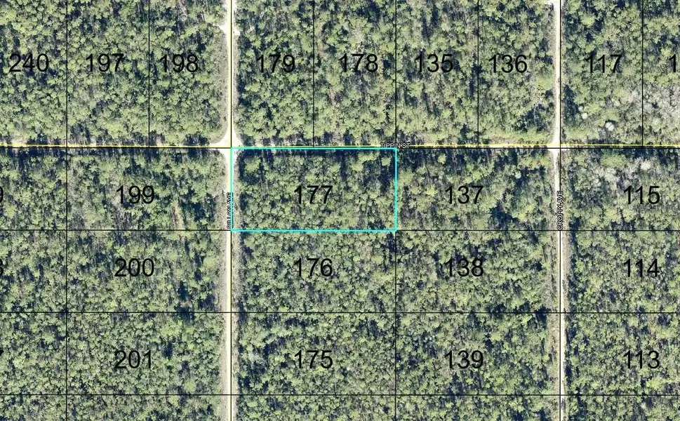 177 DILLION AVE, Hastings, FL 32145