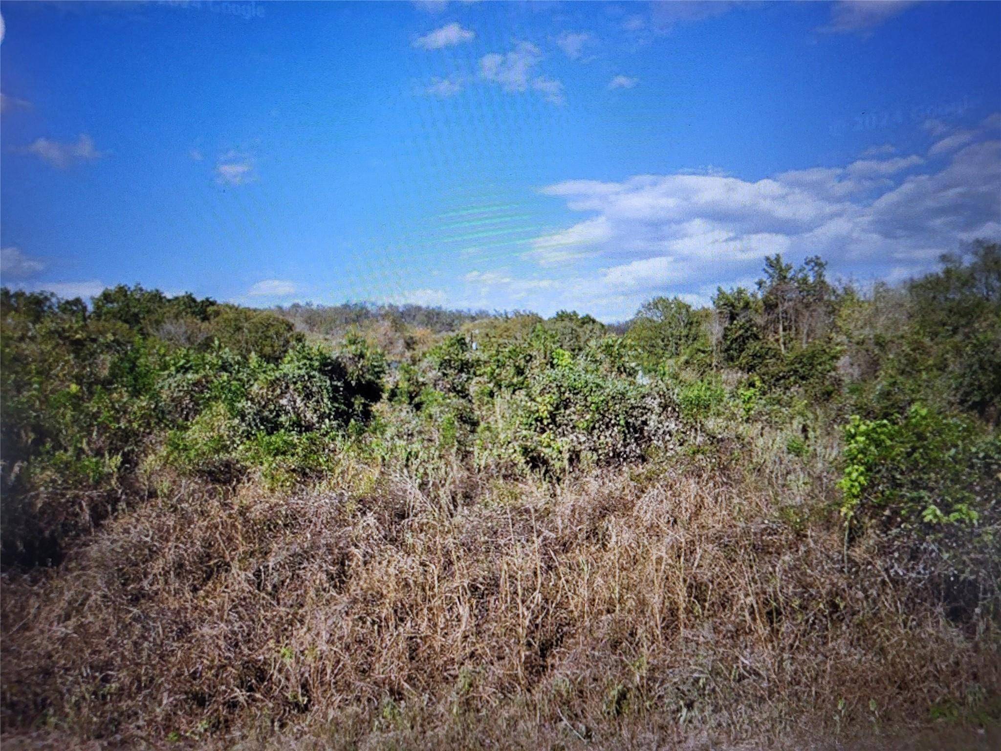 446 Riverside DR, Bastrop, TX 78602