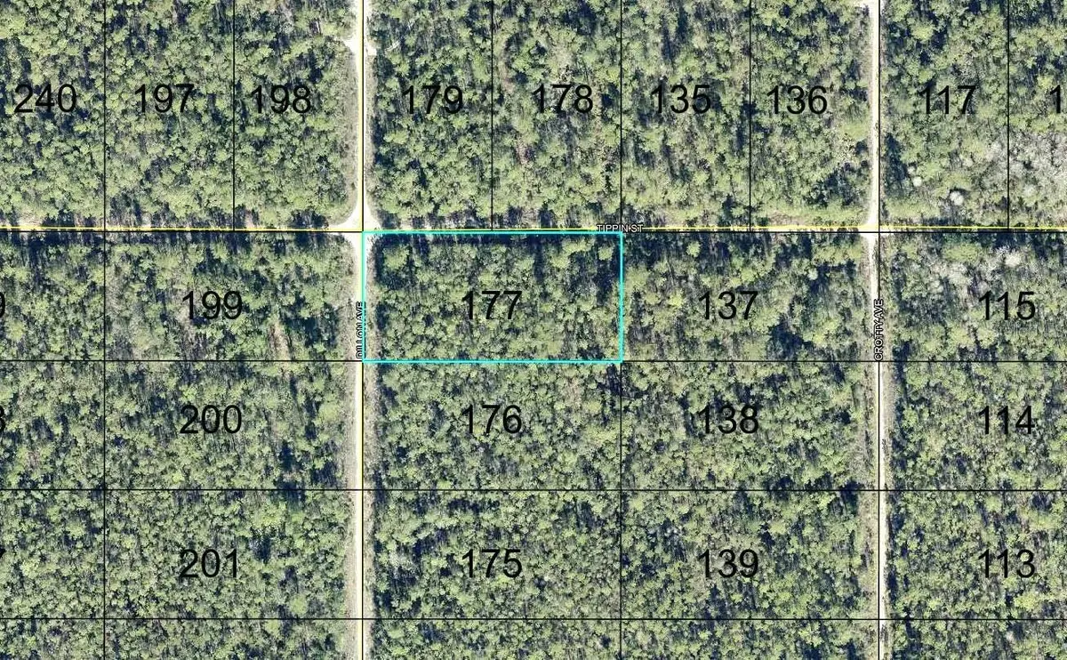177 DILLION AVE, Hastings, FL 32145