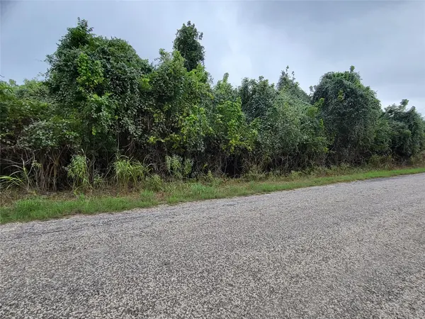446 Riverside DR, Bastrop, TX 78602