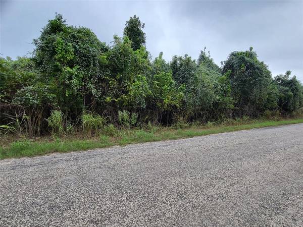 446 Riverside DR, Bastrop, TX 78602