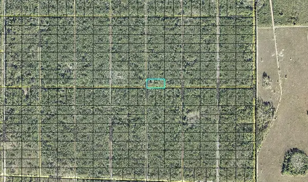 170 DILLLION AVE, Hastings, FL 32145