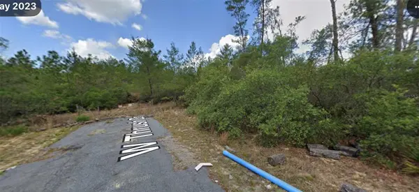 4485 W THRUSH DR, Citrus Springs, FL 34433
