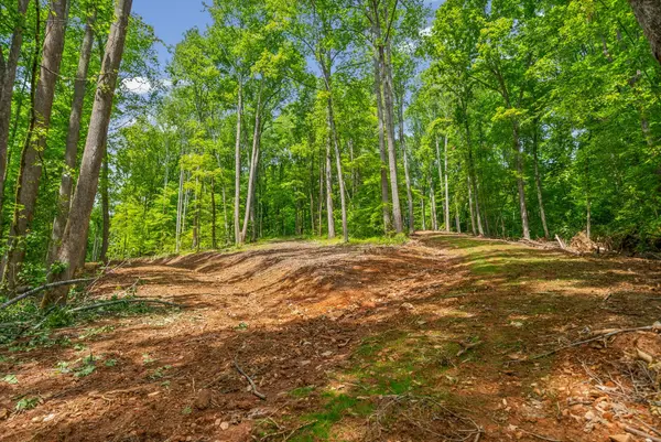 1 Budds Creek Road, Palmyra, TN 37142