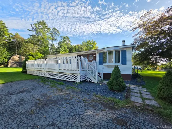 32 Bodine Lake RD, Eldred, NY 12732
