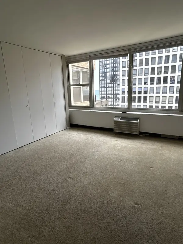 860 N Dewitt PL #1501, Chicago, IL 60611