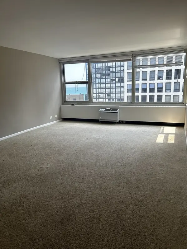 860 N Dewitt PL #1501, Chicago, IL 60611