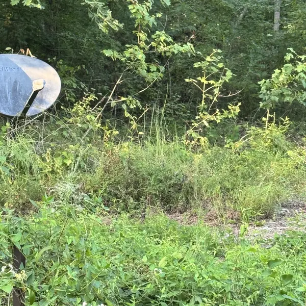 0 Glade Trl, Beechgrove, TN 37018