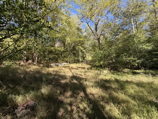 1263 Cedar Grove, Iron City, TN 38463