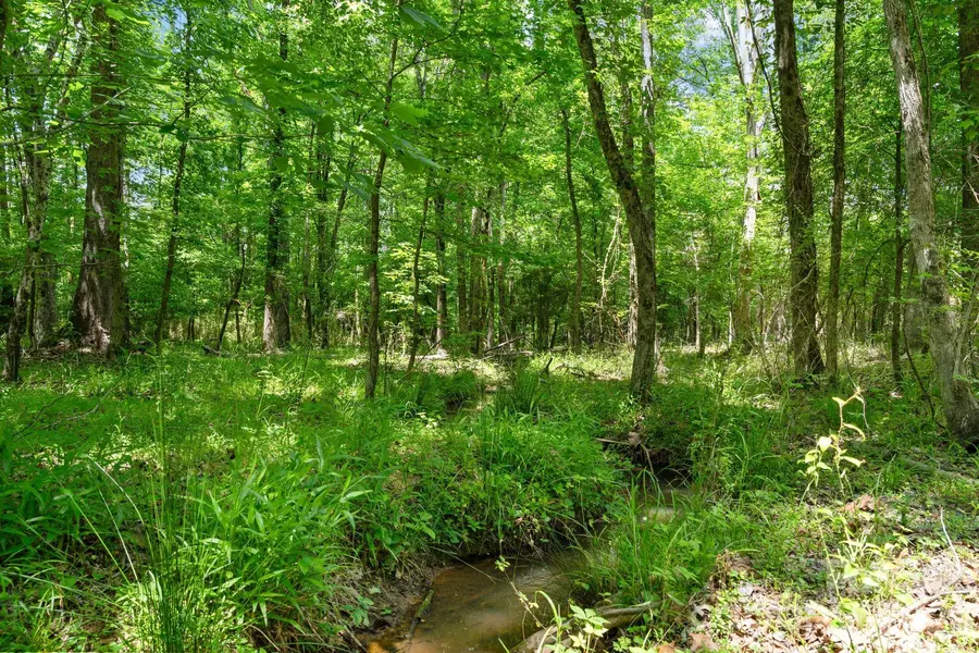 0000 Ashford Ferry RD, Carlisle, SC 29706
